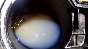 Пропускает ли топливный фильтр воду Pan Zmitser #борода