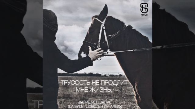 "Клянусь Аллахом, трусость не продлит мне жизнь, а храбрость не уменьшить её. смотреть онлайн