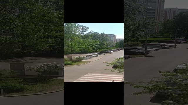 ЖАРА в Москве?