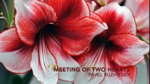 Meeting of Two Hearts - Pavel Ruzhitsky