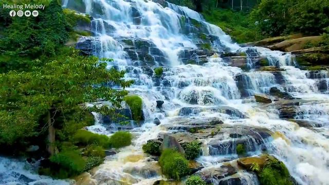 Maravillosa Música Curativa para Calmar la Mente y Aliviar los Trastornos Nerviosos🌿Energía Positiv