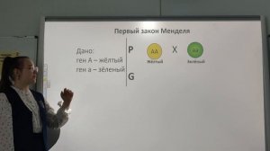 Первый закон Менделя. Закон единообразия гибридов первого поколения