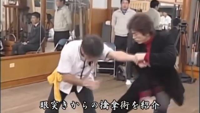 Тайцзицюань (ударная техника Тайцзи)