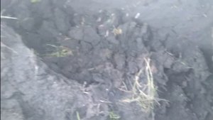 Утопили в болоте комбайн вектор #1