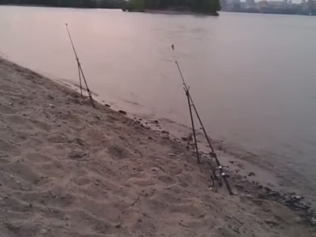 Рыбалка на реке Обь.