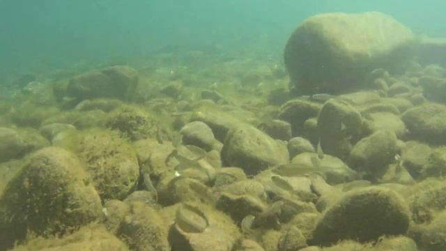 Эконом - отдых на море в октябре/ Закрыли шашлычный сезон 2022 с подписчиками на реке Псезуапсе смотреть онлайн