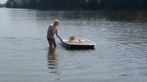 Онего 240