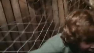 А нам говорят, что катет короче гипотенузы...