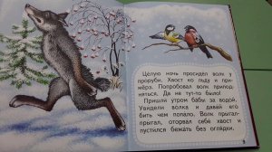 20 Волк и лиса