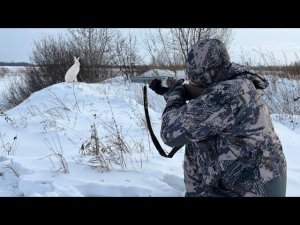 Наш день!!! Прибежал в коптильню Сам!!! Охота на зайца по следу.