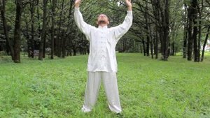 Восемь кусков парчи (1-я форма)