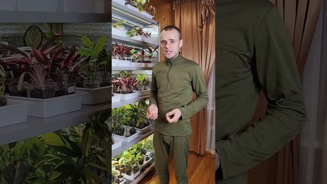 Организация места для выращивания растений и рассады.