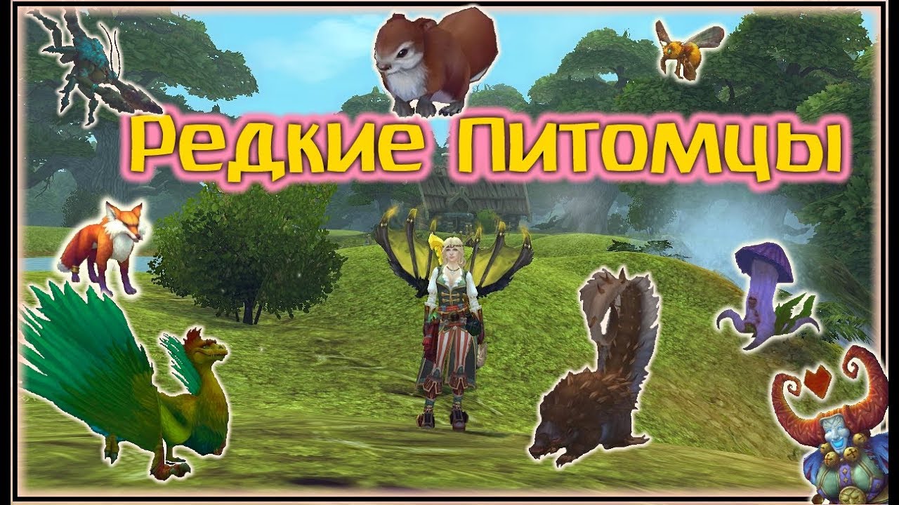 Аллоды Онлайн 10.0. Гайд 'Редкие питомцы'
