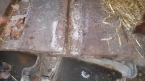 Самые Дешевые и Простые загоны для Свиней или КРС В ДЕРЕВНЕ