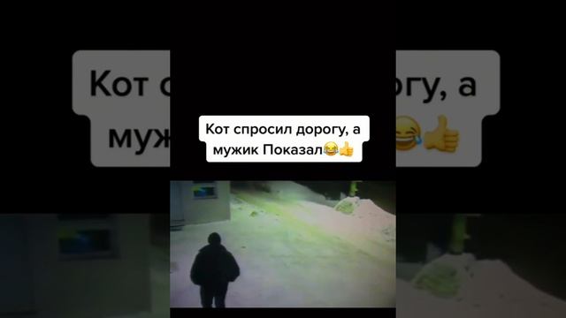 Кот спросил дорогу а мужик показал)