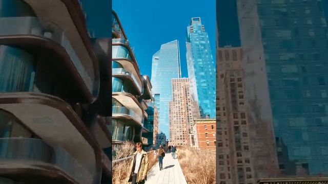 #Shorts Хайлайн Парк NYC: High Line Park Timelaps