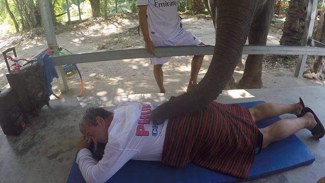 Слониха делает массаж - 2 смотреть онлайн