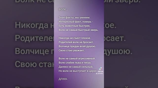 Волк...