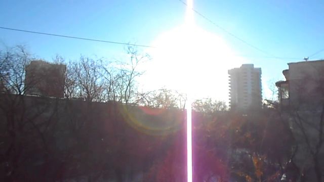 КОНФЕТА, РОМАШКА и настырный Голубь!