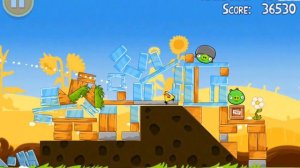 Angry Birds Seasons Summer Pignic 3 Stars Level 1-23