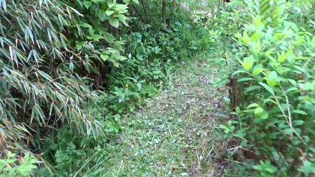 Evening in the Cottage Garden Stone Circle смотреть онлайн