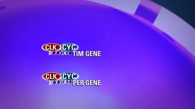 Feature Story 2013 смотреть онлайн