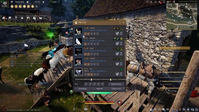 Bare minimum Pearl items for Black Desert Online смотреть онлайн