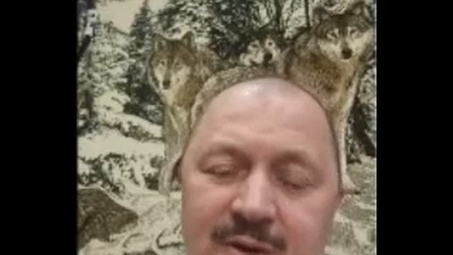 Всероссийский турнир по рукопашному бою «Памяти погибших товарищей», говорит Игорь Куфтин смотреть онлайн