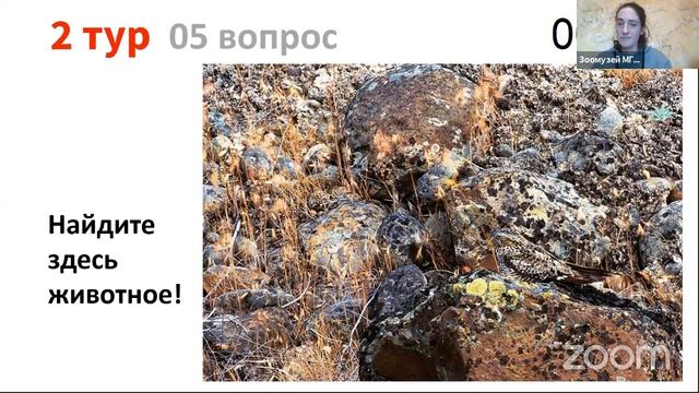 Викторина. Семейная игра про животных. Зоомузей МГУ смотреть онлайн