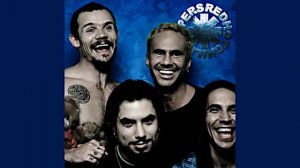 Red Hot Chili Peppers-Don't Forget Me
