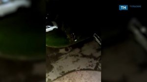 В Туле жители Зеленстроя проникают на территорию жилого дома постоянно выламывая калитку