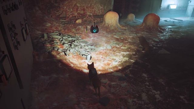 STRAY: - Канализация #6 смотреть онлайн