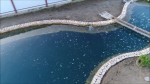 Красивый пруд для форели (20)