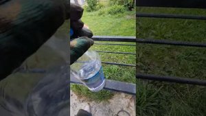 замена колодок на пежо боксер