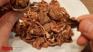 Долбун, Жадный, Бойный грецкий орех что это? Смотрите видео от Walnuts Broker