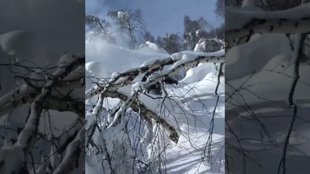 Наши поездки- это незабываемо! HW