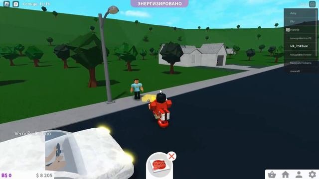 КАКАЯ РАБОТА САМАЯ ВЫСОКООПЛАЧИВАЕМАЯ:BLOXBURG