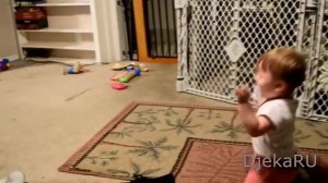 Ох уж эти доберманы!