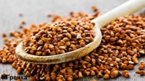 6 ПРОДУКТОВ С САМЫМ ВЫСОКИМ СОДЕРЖАНИЕМ БЕЛКА