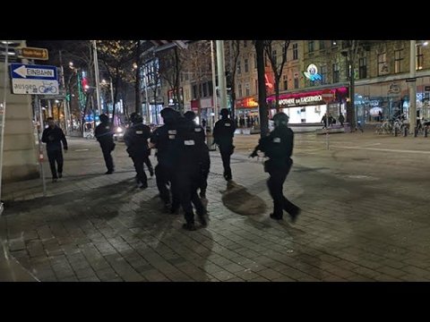 Армия на улицах и всеобщий страх: что известно о серии терактов в столице Австрии
