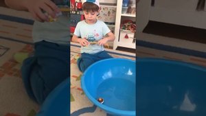 Обзор волчков инфинити надо infinity nado