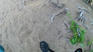 поиск боровое на пляже