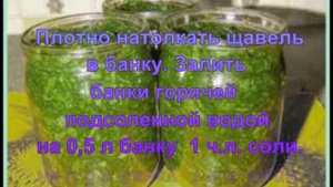 Как закрыть щавель  на зиму в банках — лучший рецепт