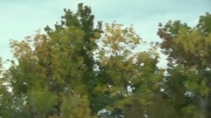 Фишки езды по трассе-Новичкам само то !