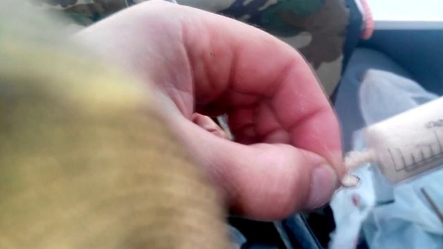 Местные знают где ловить. Бесплатный бонус к отдыху в санатории Лесное Витебской области Беларуси смотреть онлайн