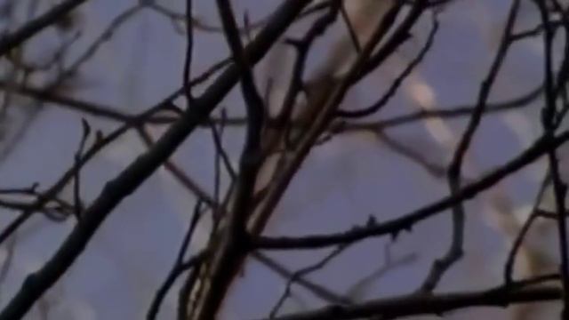Всемирный День Земли