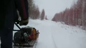 поездка на мотособаке 7