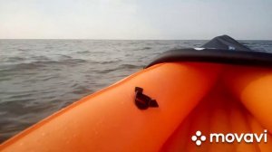 каяк Bestway 65077...Азовское море..генеральские пляжи..первый выход..
