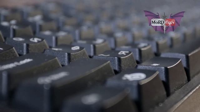 Купил клавиатуру дороже своего ПК Steelseries 6gv2 смотреть онлайн