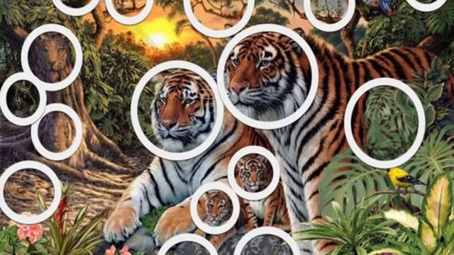 Сколько тигров на картинке? смотреть онлайн